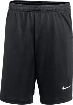 Nike Youth DRI-FIT Classic II Shorts (Large Black)
