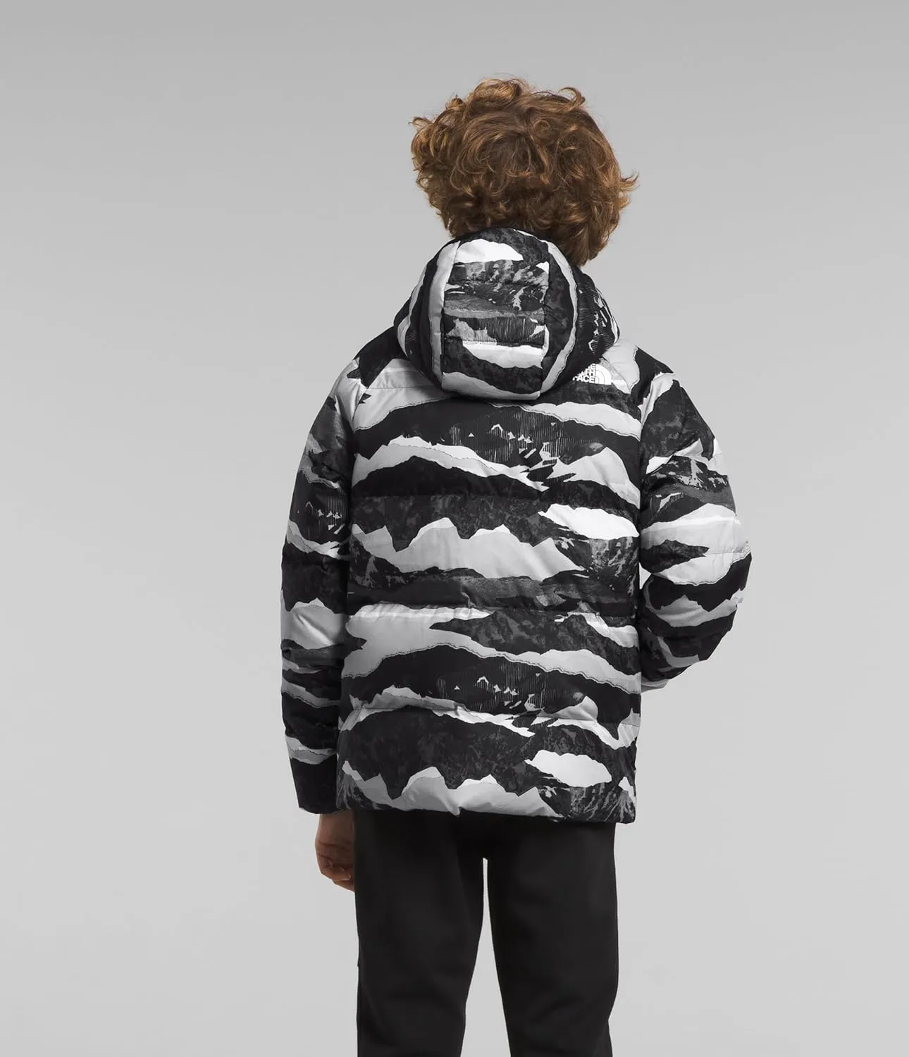 The North Face Boy's Reversible North Down Hooded Jacket (Little Kids/Big Kids)